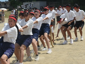 写真11
