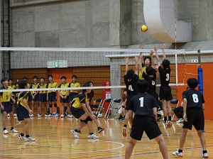 写真6 写真6