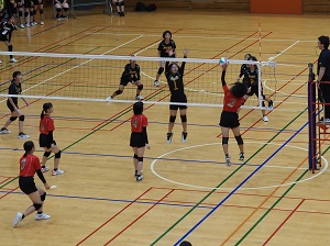 写真8 写真8