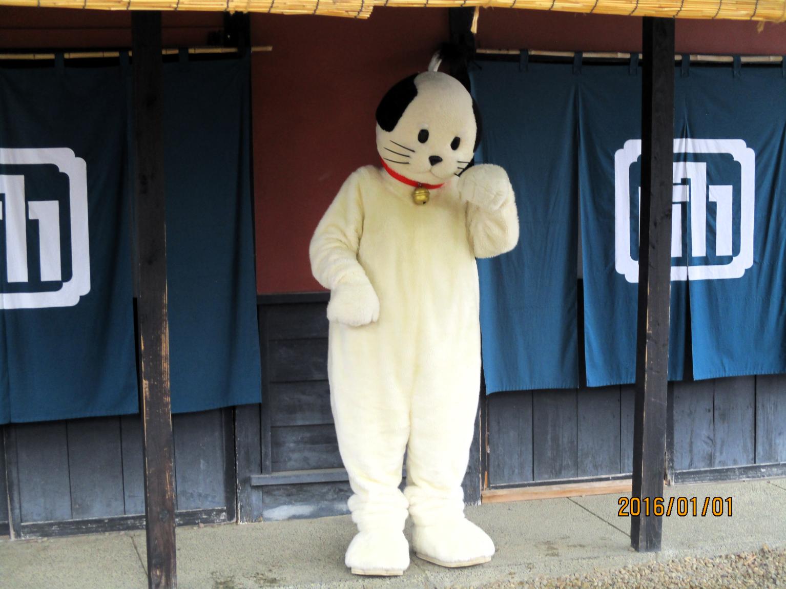 20 にゃんまげもいました
