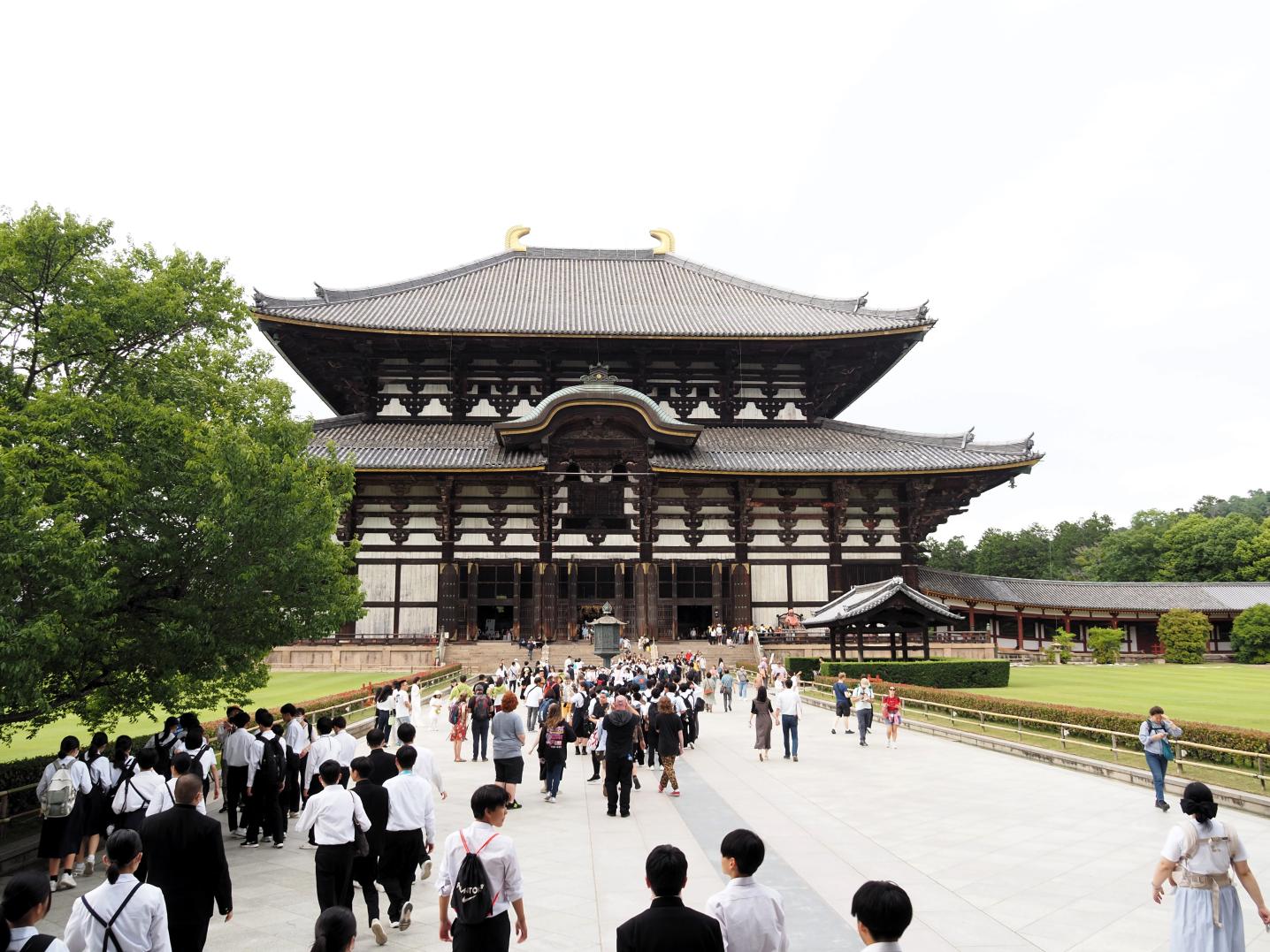東大寺に着きました