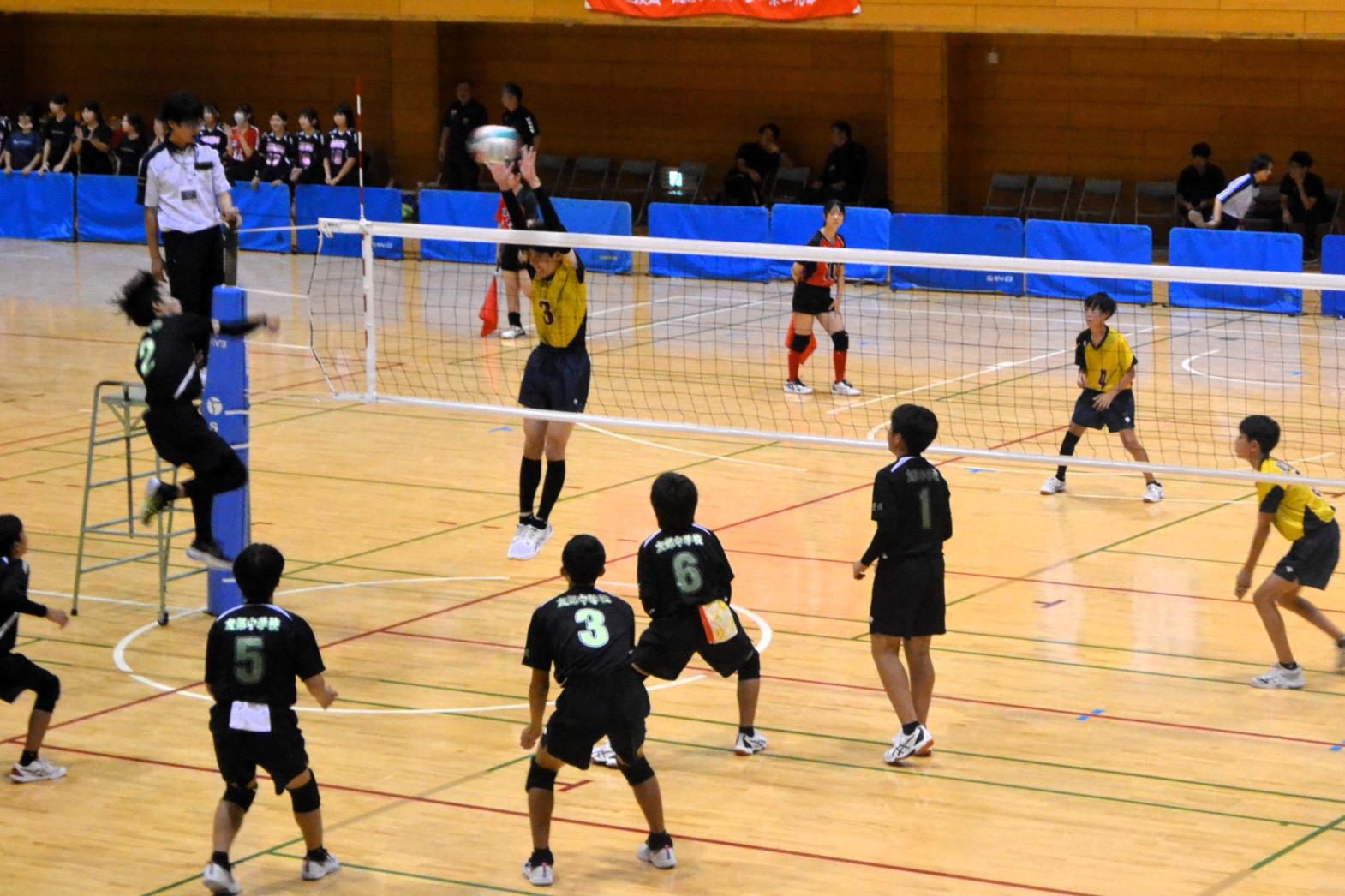 10 ブロック