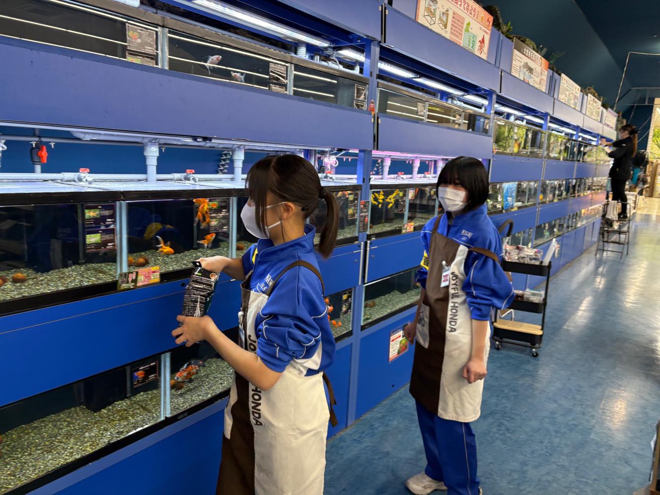 職場体験１