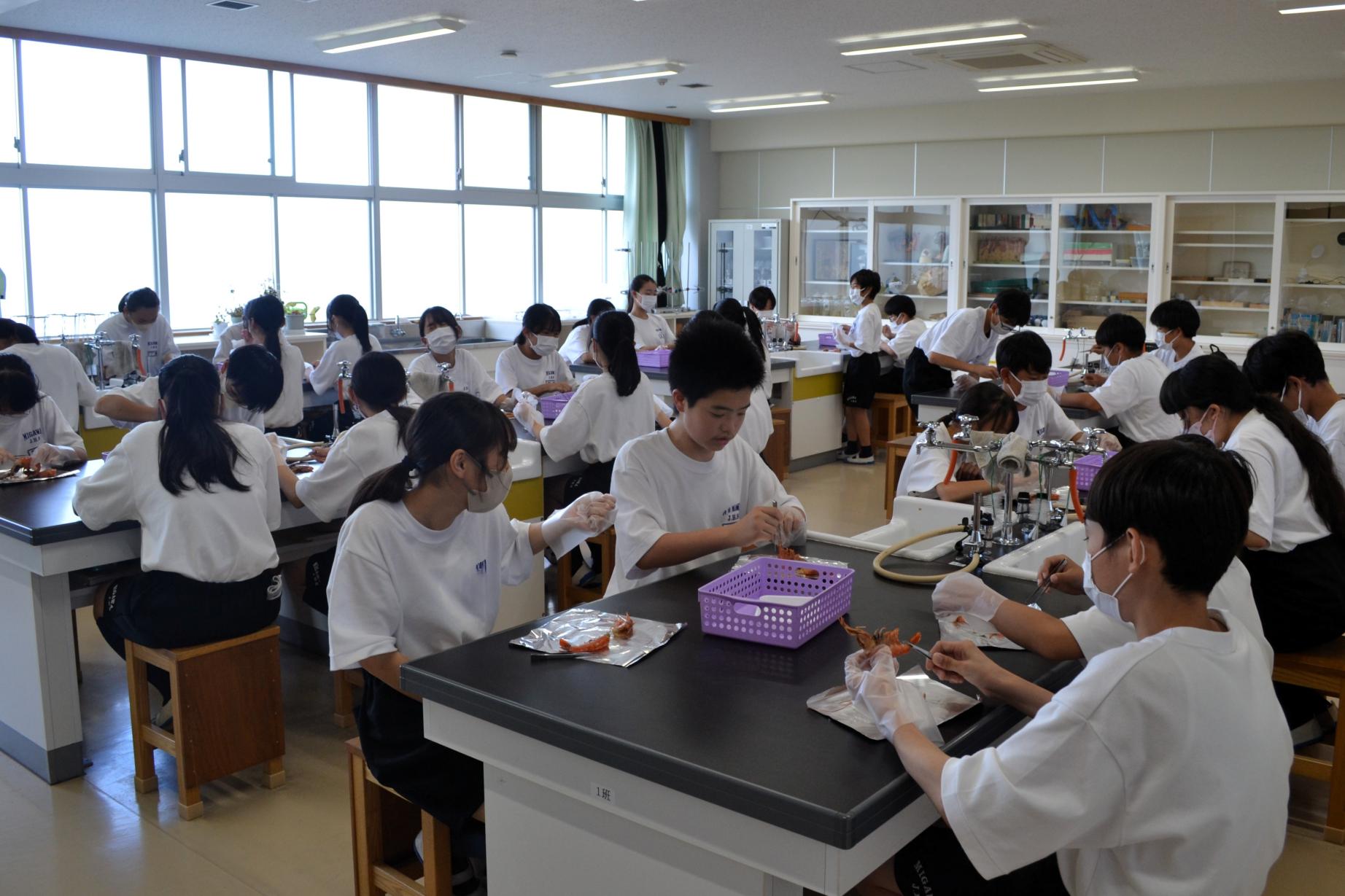 07 体験を通して体のつくりを学びました 07 体験を通して体のつくりを学びました