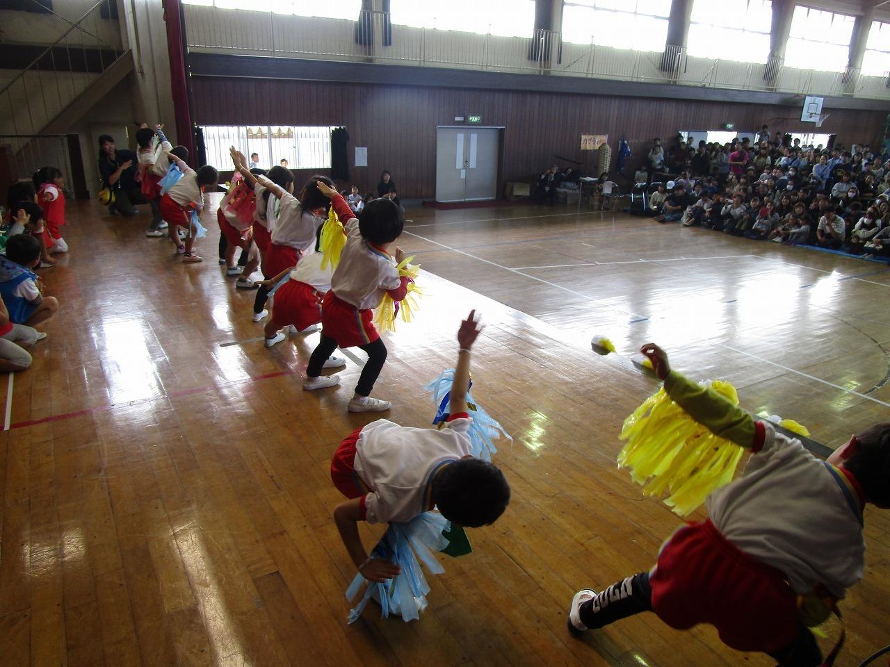 IMG_7669 IMG_7669