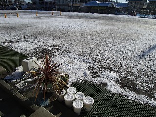 IMG_8725 IMG_8725