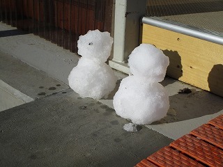 IMG_8726 IMG_8726