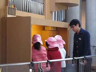 IMG_8929 IMG_8929
