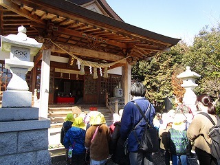 IMG_8955 IMG_8955