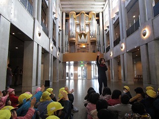 IMG_8879 IMG_8879