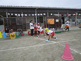 IMG_2016 IMG_2016