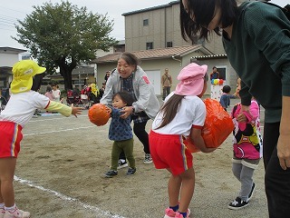 IMG_2172 IMG_2172