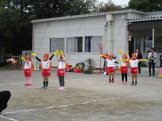 IMG_2181 IMG_2181