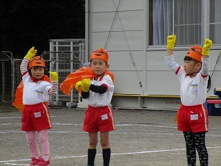 IMG_2186 IMG_2186