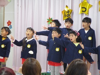IMG_2795 IMG_2795