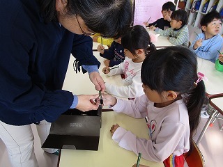 IMG_2843 IMG_2843