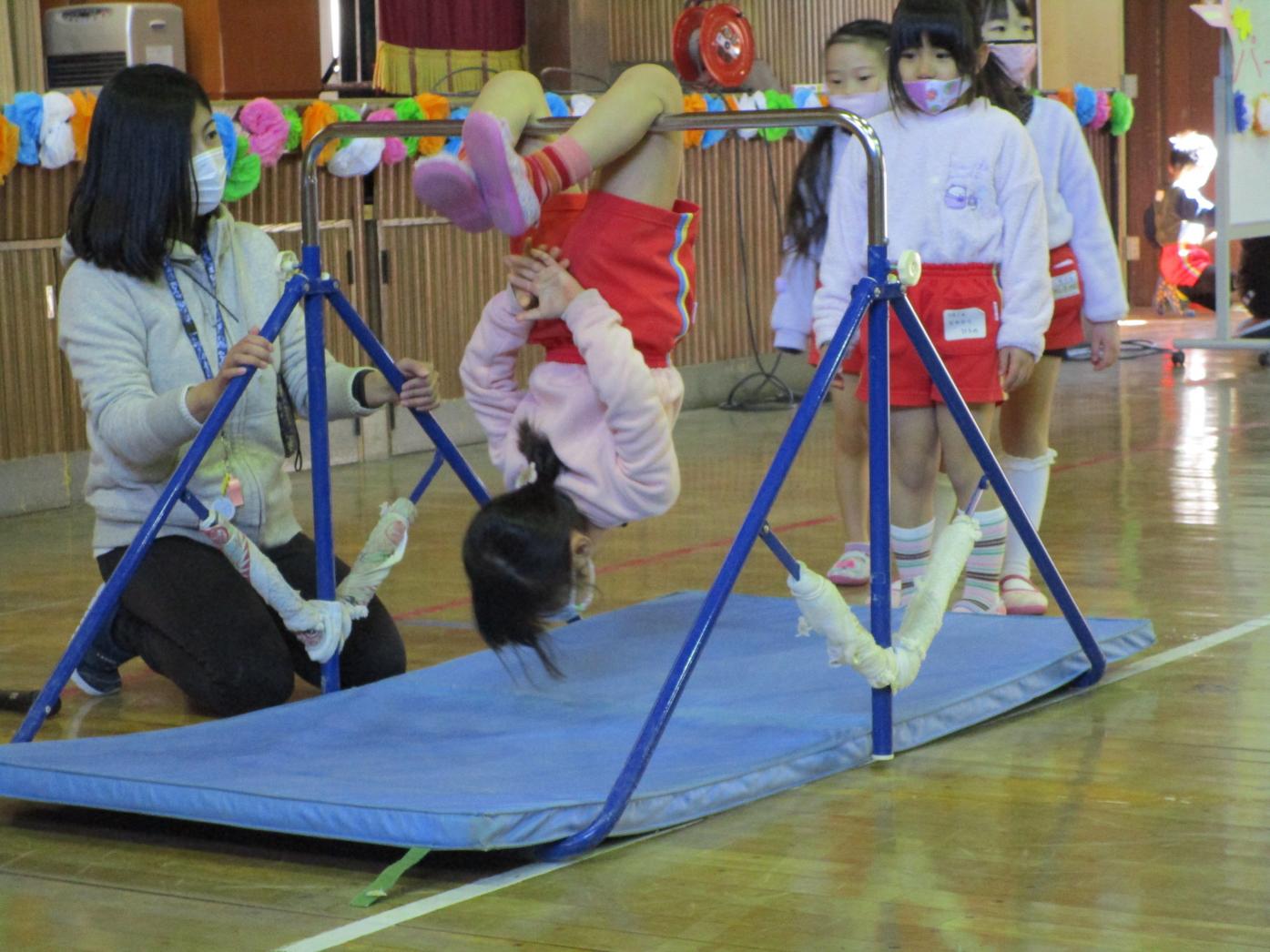 IMG_4520 IMG_4520