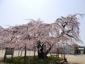 P3640051