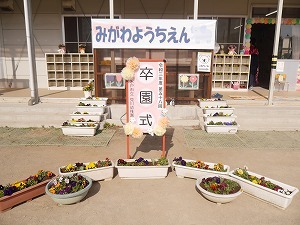 P3600142 P3600142