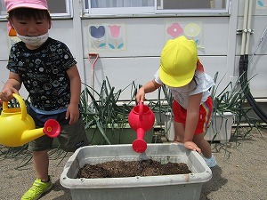 IMG_0129