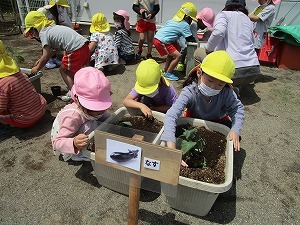 IMG_0155
