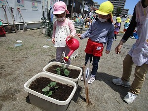 IMG_0160