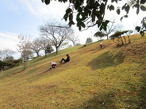 IMG_0798