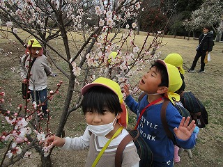 IMG_2063(2)