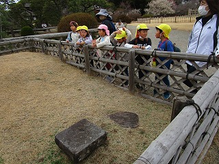 IMG_2066(2)