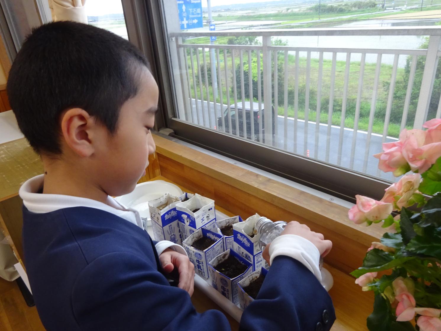 DSC09300 DSC09300