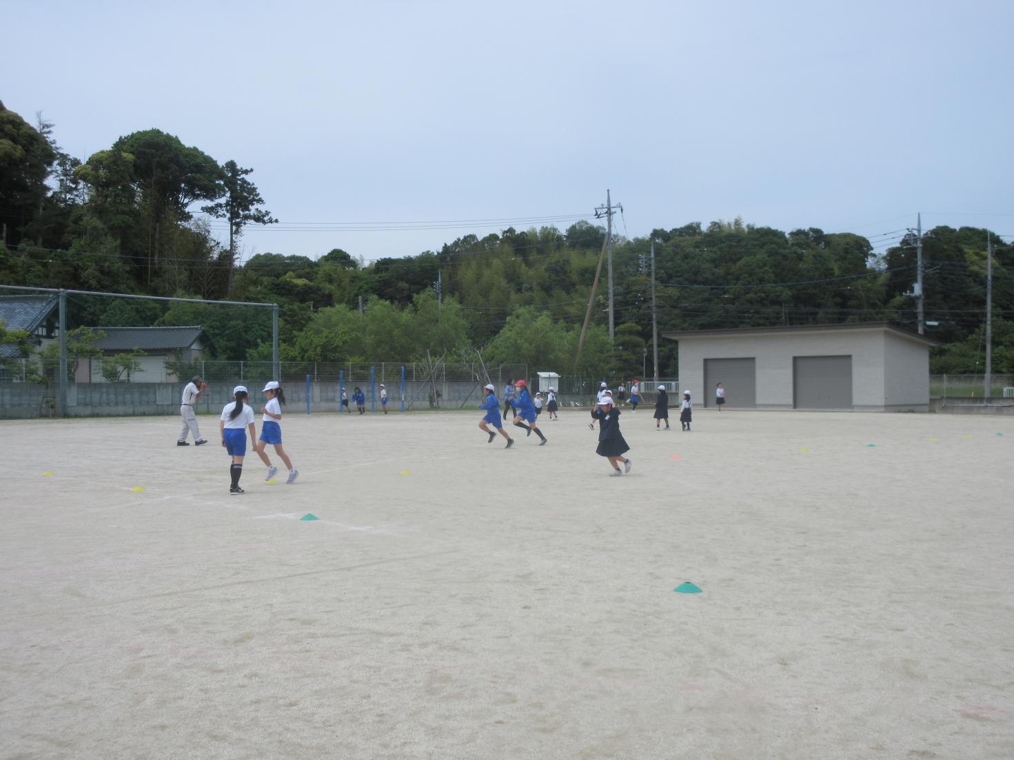 IMG_5087 IMG_5087