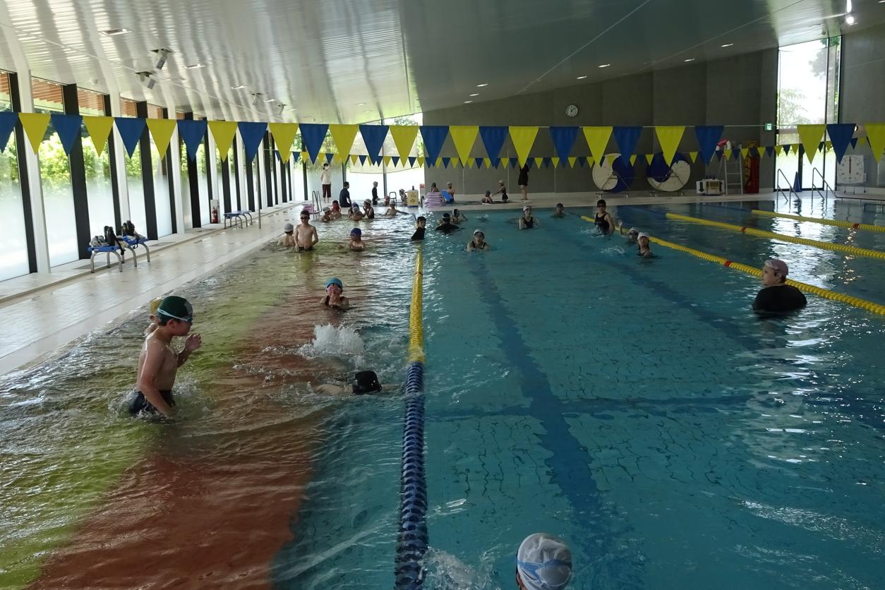 水泳学習8 水泳学習8