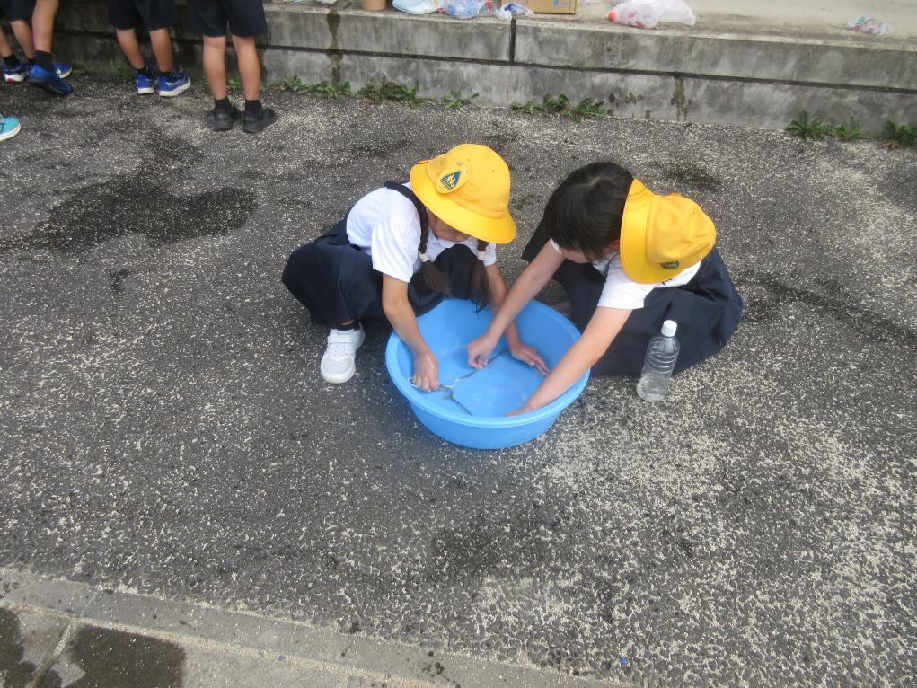 水あそび6 水あそび6