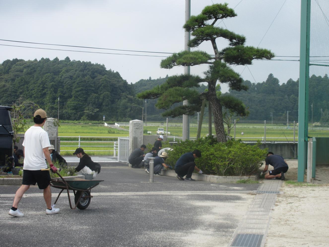 奉仕作業5 奉仕作業5