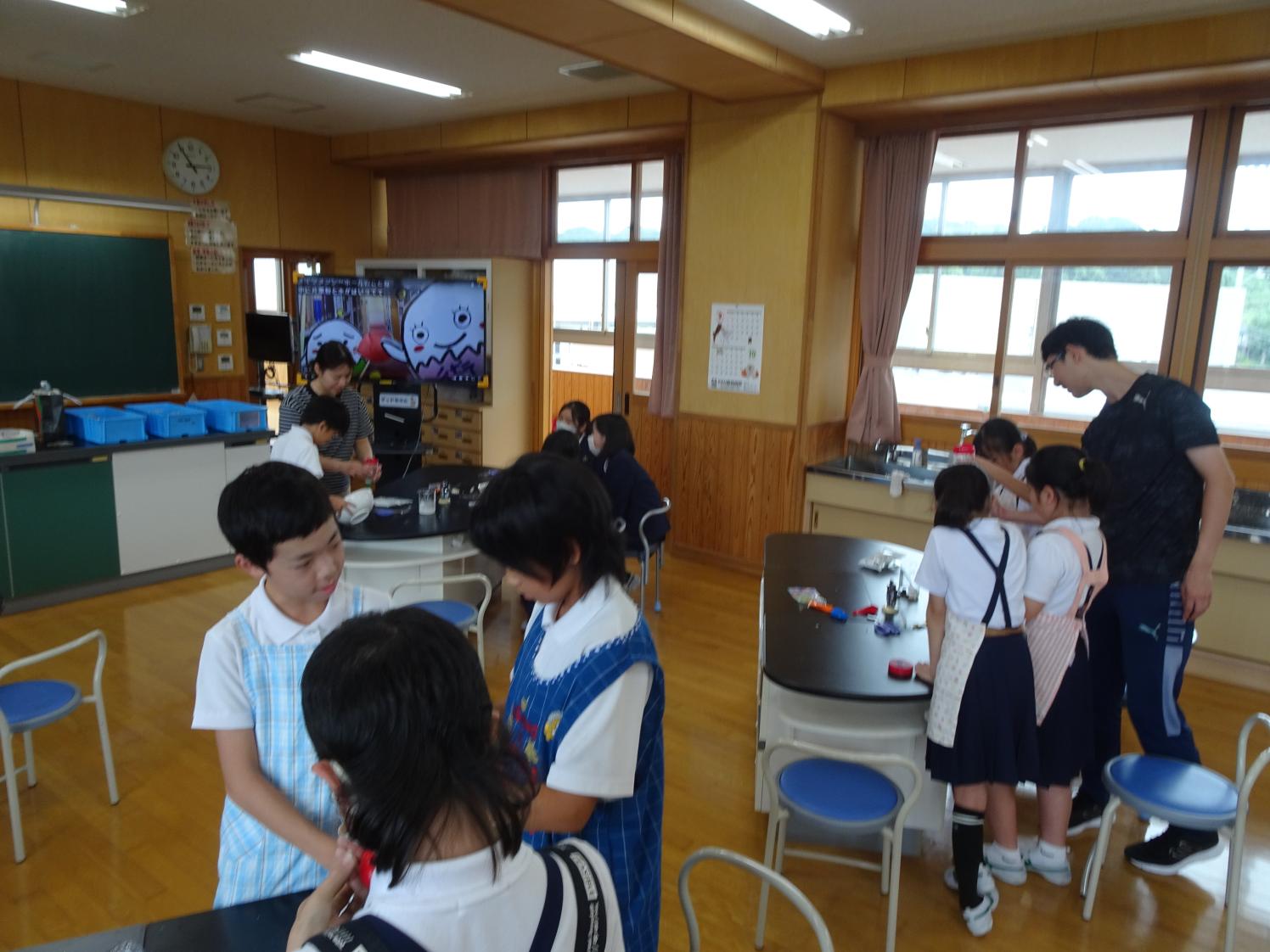 観察実験 観察実験