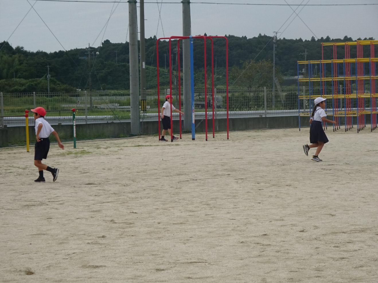 DSC00338 DSC00338