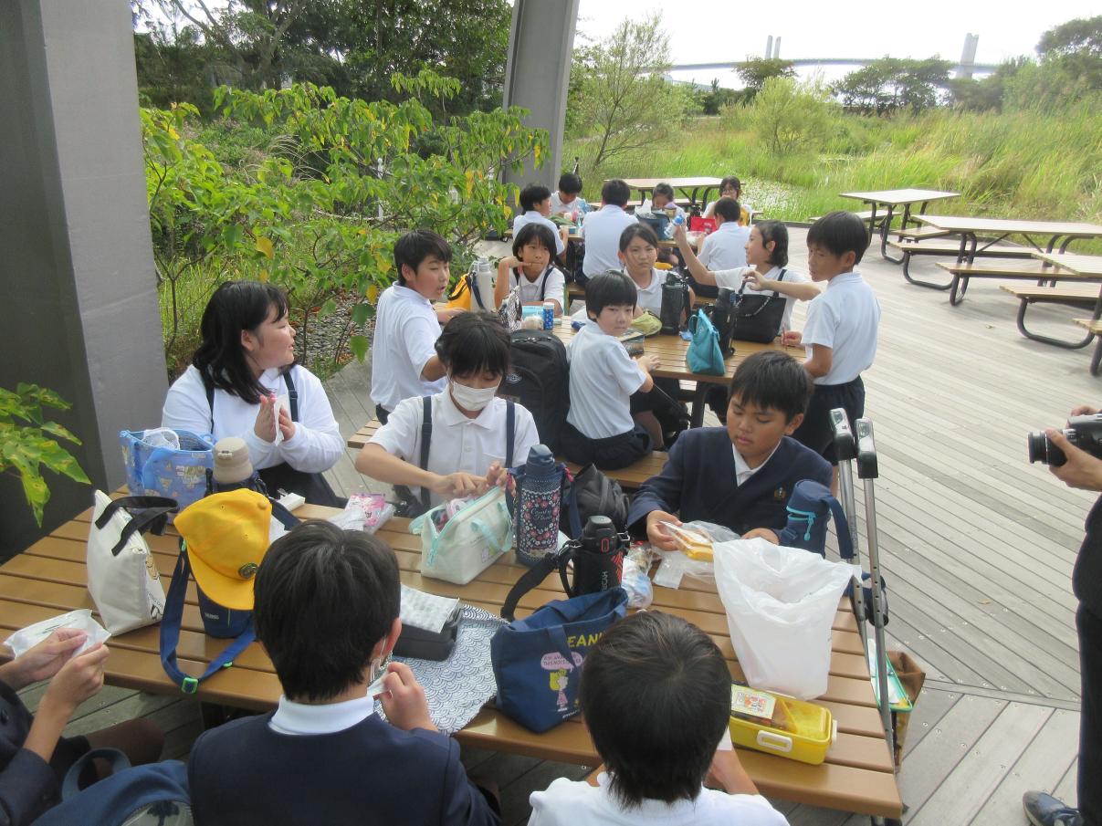 IMG_5950 IMG_5950