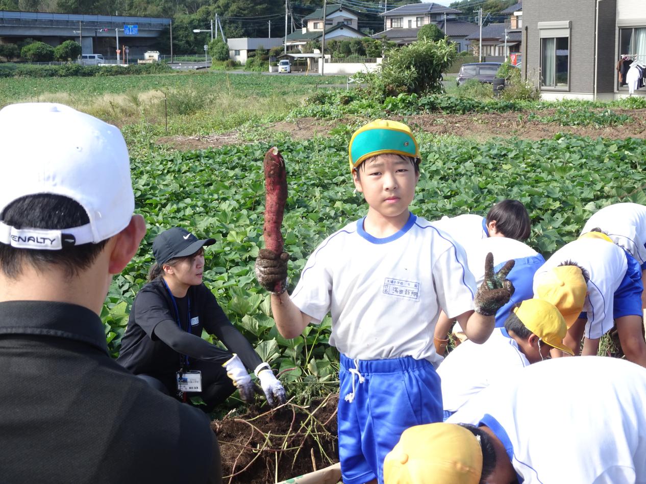 芋掘り7 芋掘り7