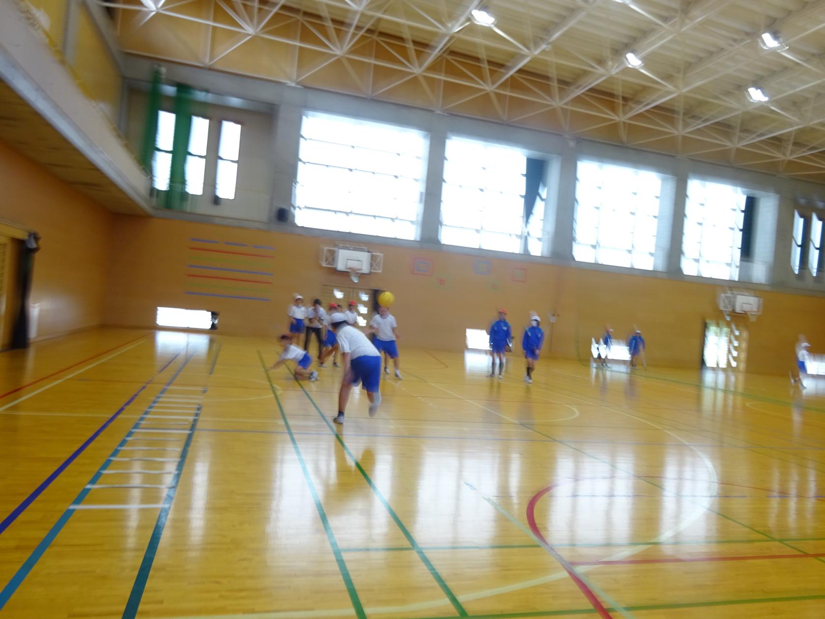 DSC00446 DSC00446