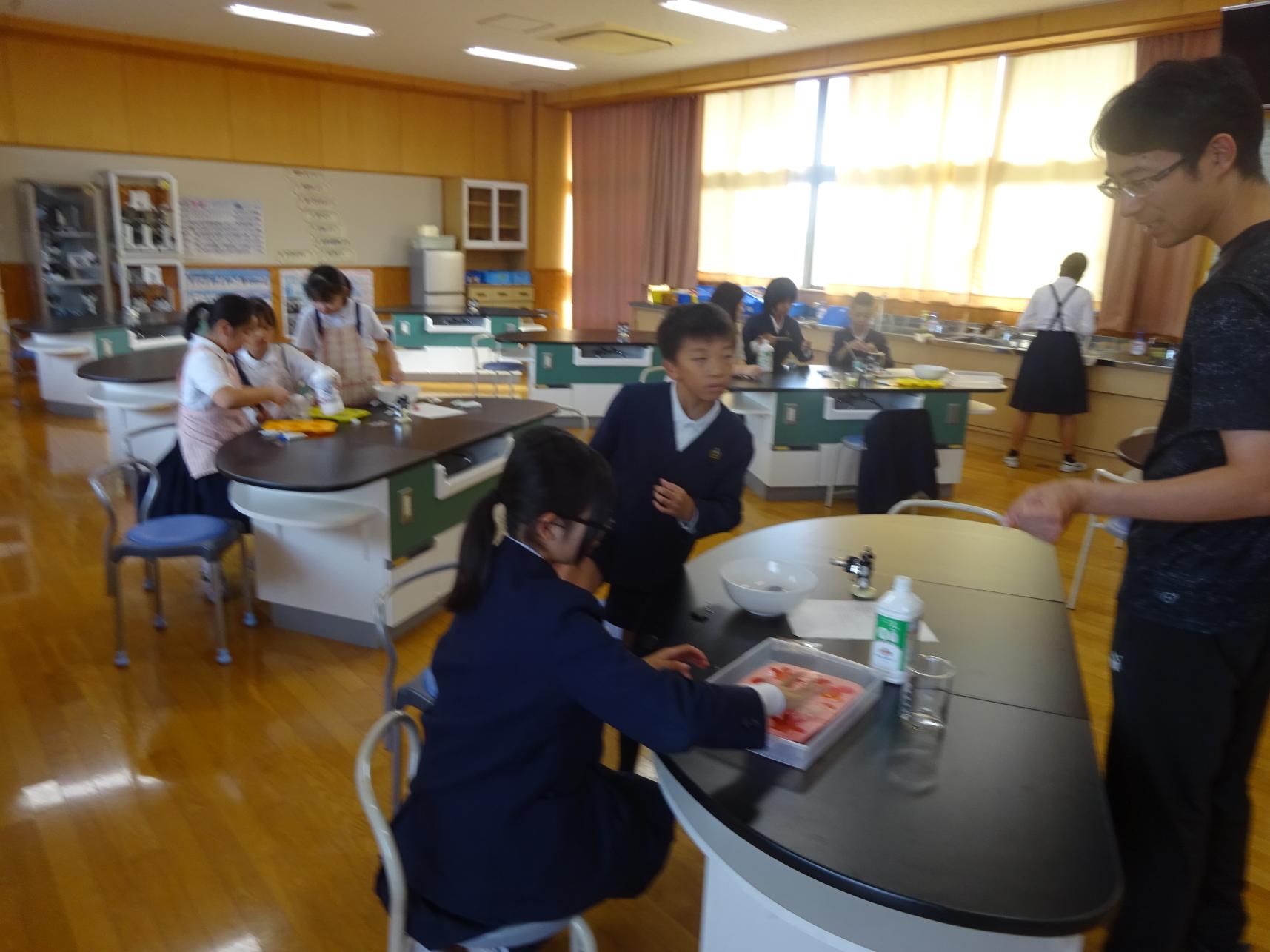DSC00453 DSC00453
