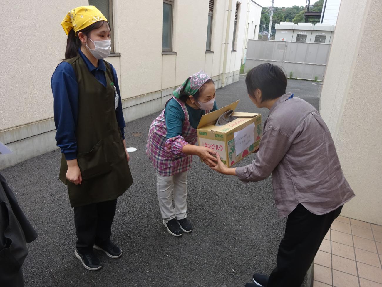 大学イモ2 大学イモ2