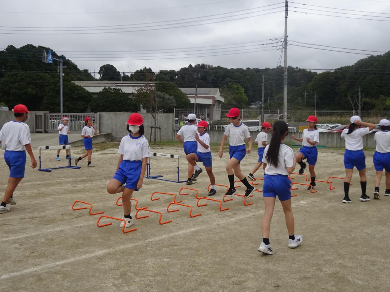 DSC00490 DSC00490
