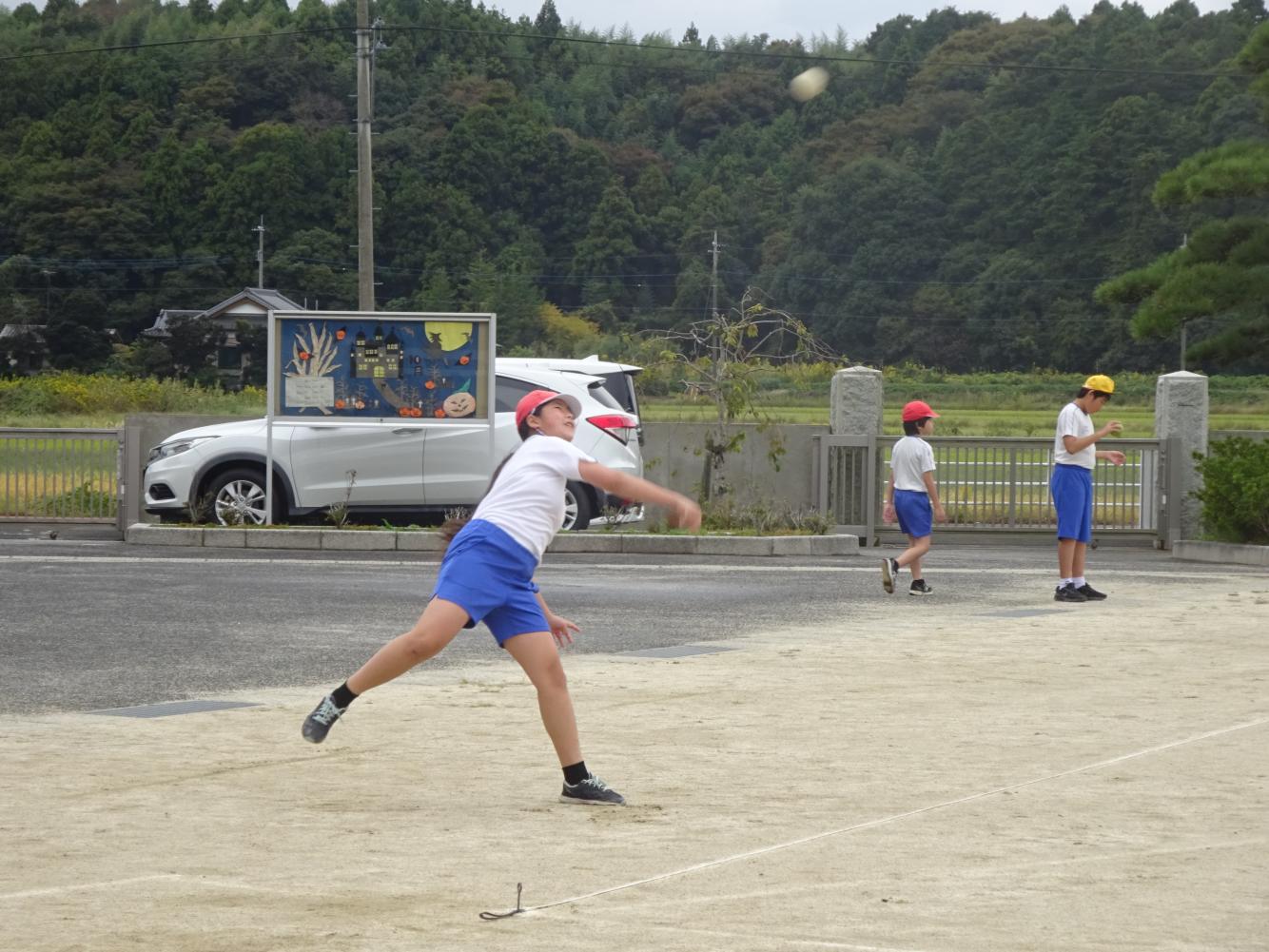 DSC00493 DSC00493