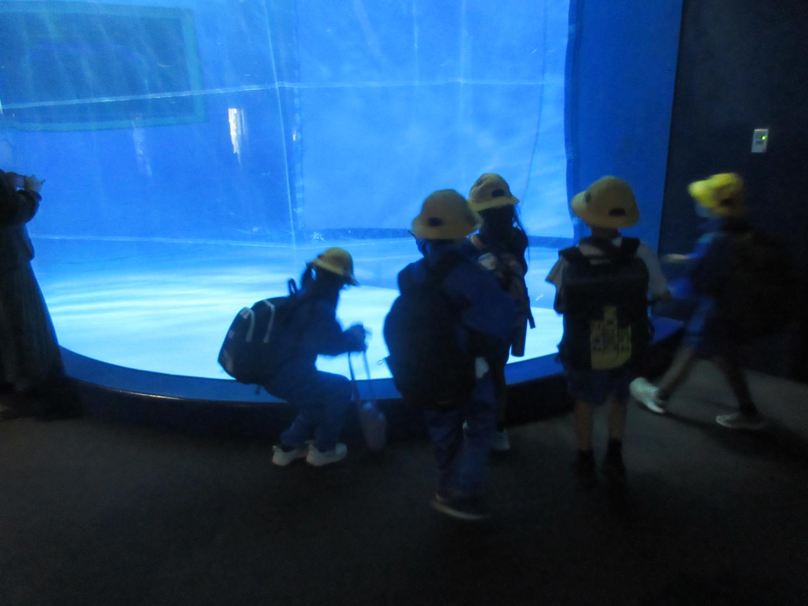 IMG_6218 IMG_6218