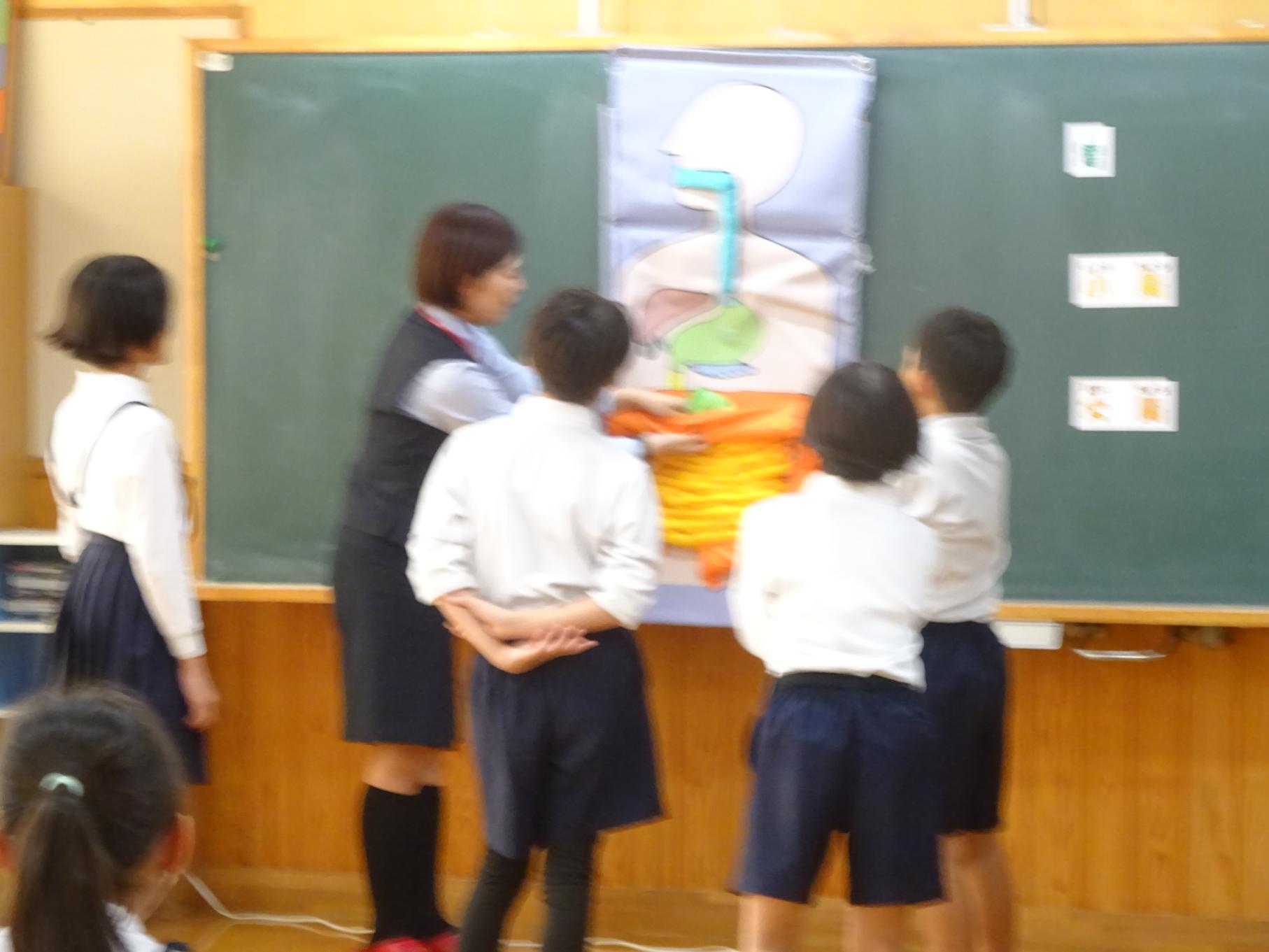 DSC00667 DSC00667