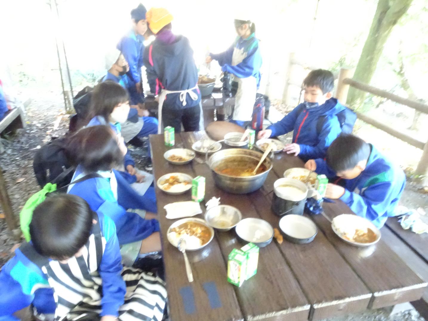 カレー6 カレー6