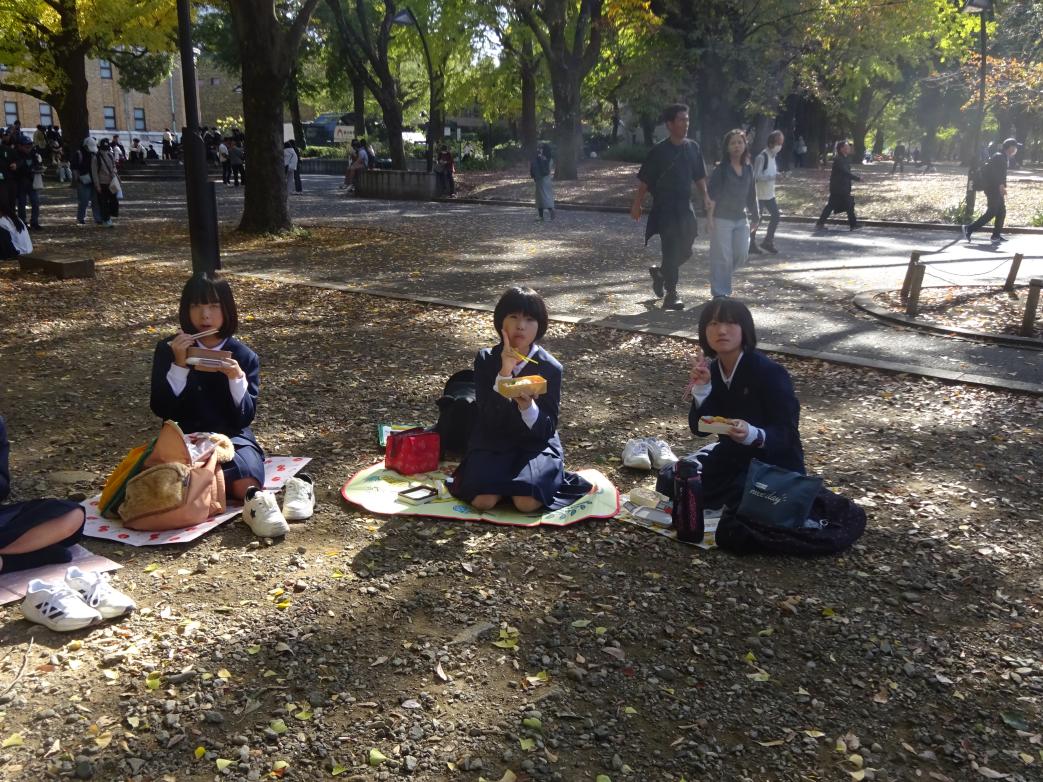 DSC00900 DSC00900