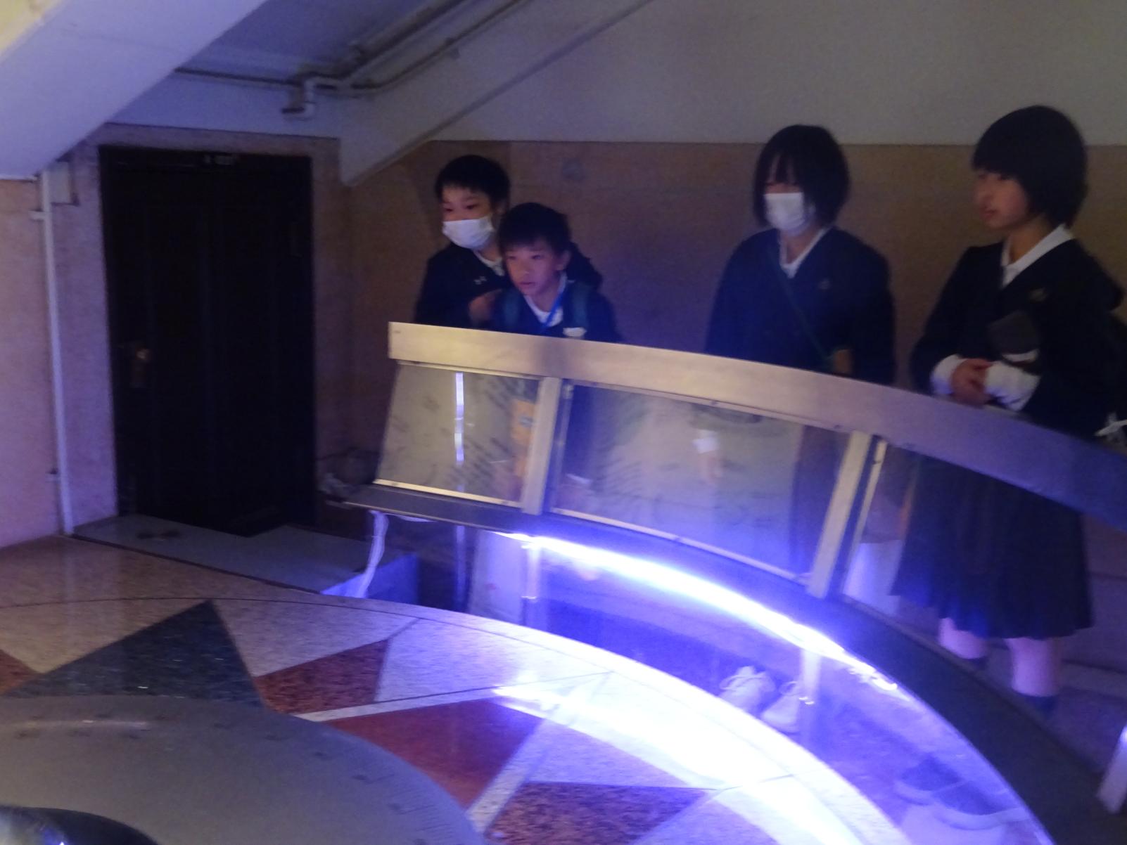 DSC00919 DSC00919