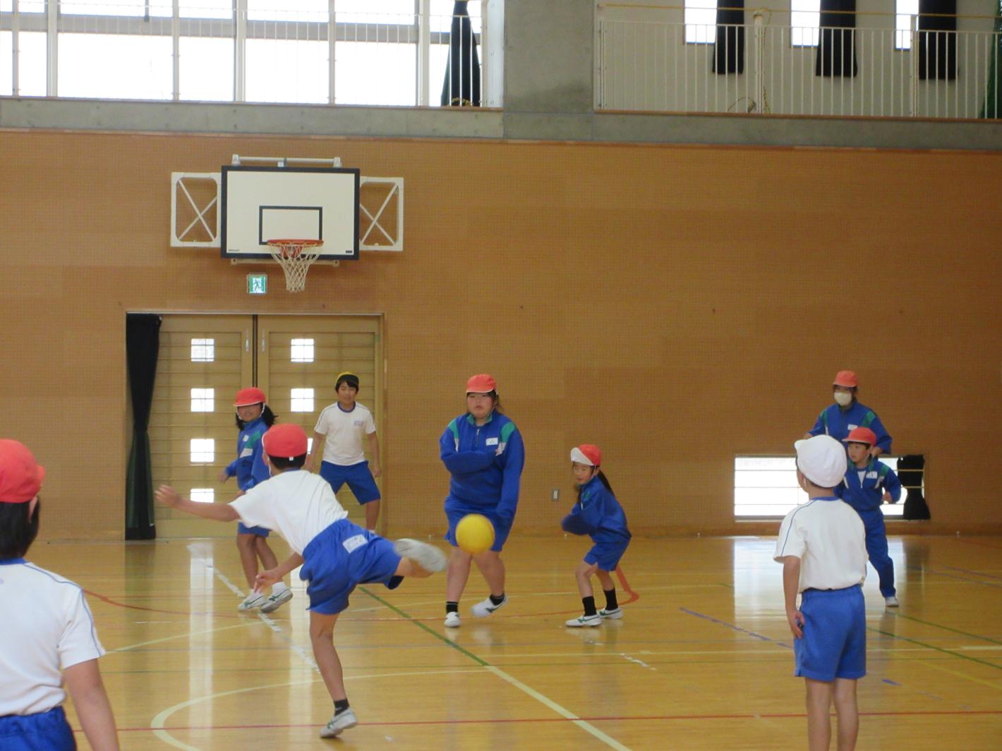 IMG_6262 IMG_6262