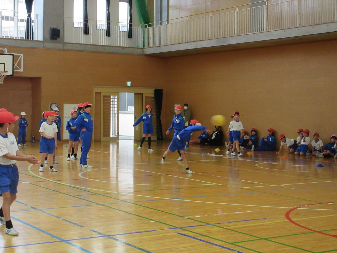 IMG_6278 IMG_6278